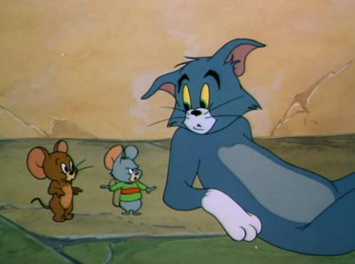Боятся ли мыши запаха кота. Ученые выяснили, почему Джерри не боялся Тома