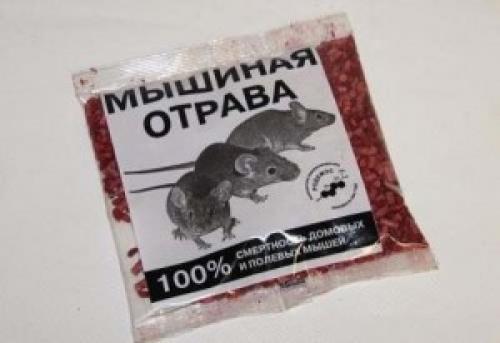 Какие средства от крыс и мышей можно использовать в домашних условиях без использования ядовитых веществ. Отрава для мышей: какая эффективнее