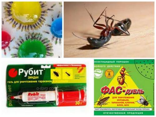 Как избавиться от муравьев раз и навсегда. Химические средства
