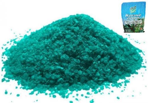 Обработка сада осенью от вредителей и болезней осенью октябрь. Какими препаратами проводить осеннее опрыскивание сада от вредителей и болезней