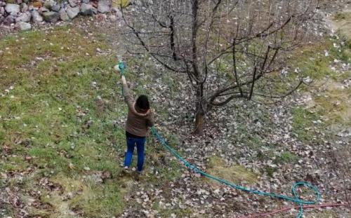 Обработка сада осенью от вредителей и болезней осенью октябрь. Какими препаратами проводить осеннее опрыскивание сада от вредителей и болезней