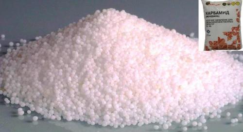 Обработка сада осенью от вредителей и болезней осенью октябрь. Какими препаратами проводить осеннее опрыскивание сада от вредителей и болезней