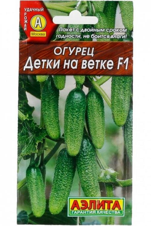 Огурцы в вашем саду: проверенные способы выращивания 06 Огурцы в вашем саду: проверенные способы выращивания 06