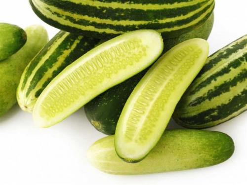 Огурцы в вашем саду: проверенные способы выращивания 11 Огурцы в вашем саду: проверенные способы выращивания 11