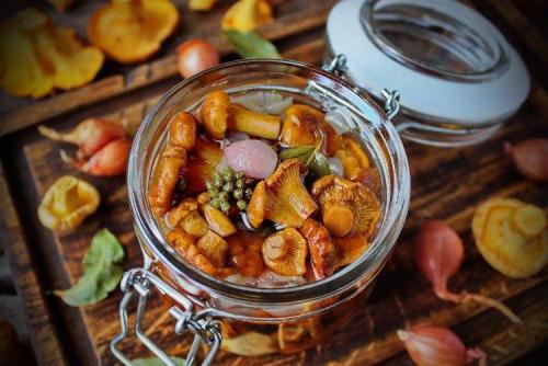 Какие грибы можно использовать в кулинарии и какие блюда из них можно приготовить. 20 вкусных блюд из грибов, которые разнообразят твое меню