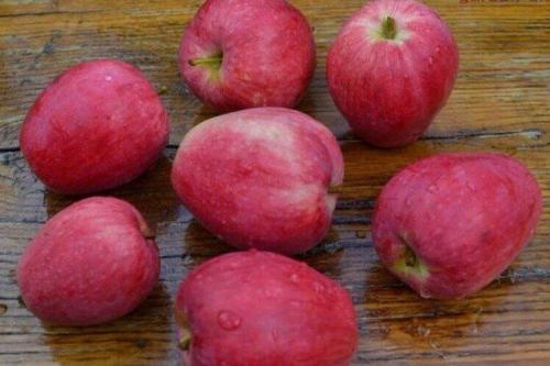 Яблоня описание сорта. Лучшие сорта яблок: фото, названия и описания (каталог)