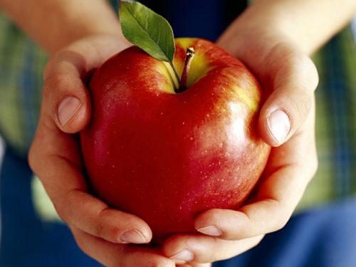Какие зимние сорта яблок наиболее полезны для здоровья. 5 самых полезных для здоровья яблочных сортов