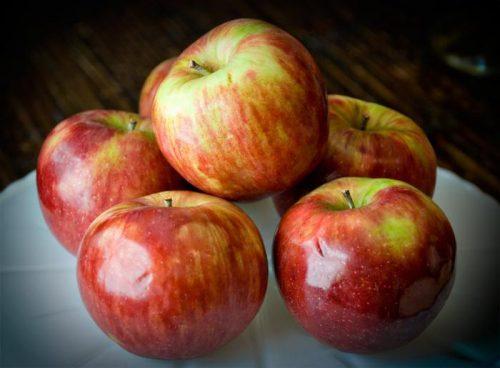 Какие зимние сорта яблок наиболее полезны для здоровья. 5 самых полезных для здоровья яблочных сортов