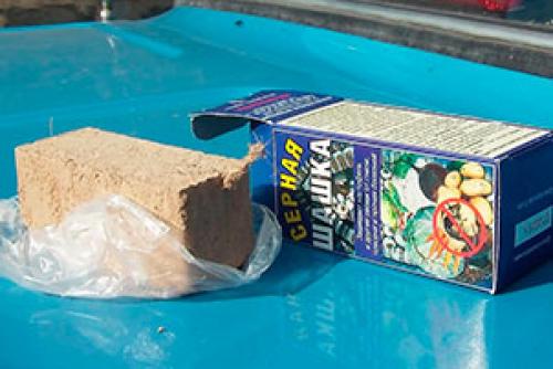 Какой запах отпугивает грызунов. Каких запахов боятся мыши 03