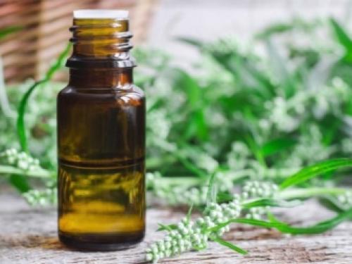 Как избавиться от мышей на даче. Травы 01