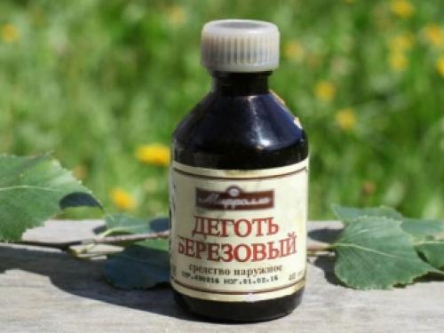 Как избавиться от мышей на даче. Травы 02