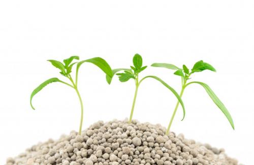 Экоплант удобрение инструкция. ЭкоПлант: эффективное комплексное удобрение для овощей, ягодников и фруктовых деревьев