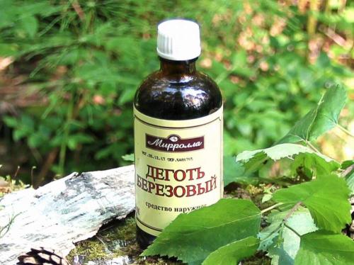 Какой запах не любят мыши и крысы. Грызуны будут обходить ваш дом стороной: какие запахи в доме отпугивают мышей 09