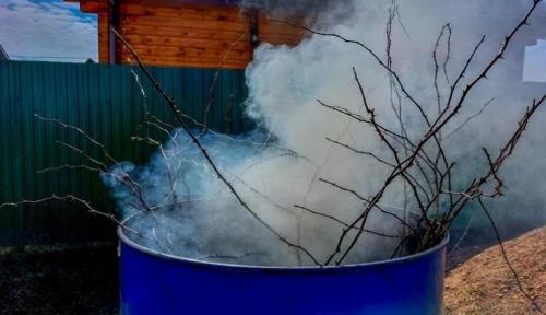 Какой запах не любят мыши и крысы. Грызуны будут обходить ваш дом стороной: какие запахи в доме отпугивают мышей 04