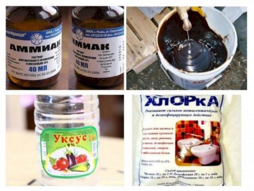 Боятся ли крысы уксуса. Запахи