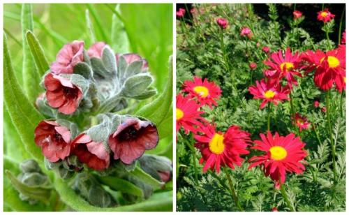 Белизна от мышей. Запахи