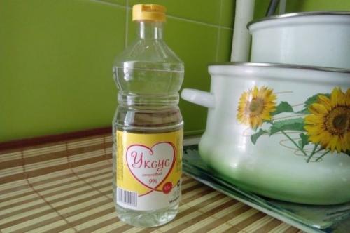 Какой запах не любят мыши и крысы. Грызуны будут обходить ваш дом стороной: какие запахи в доме отпугивают мышей 05