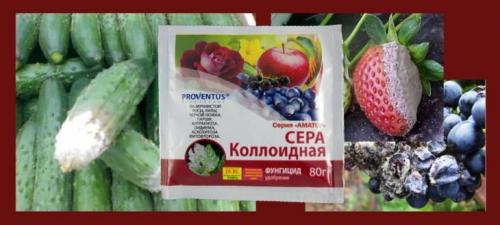Чем я заполняю свои грядки осенью. Внесение органики 01 Чем я заполняю свои грядки осенью. Внесение органики 01
