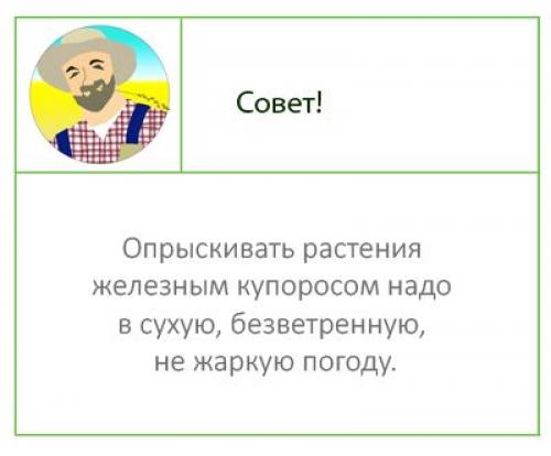 Дезинфекция почвы железным купоросом. Железный купорос: применение в саду