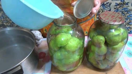 Компот из груш на зиму без стерилизации. Компоты из груш на зиму: 11 рецептов на 3 литровую банку