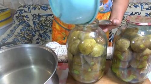 Компот из груш на зиму без стерилизации. Компоты из груш на зиму: 11 рецептов на 3 литровую банку