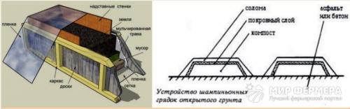 Мицелий шампиньонов своими руками из грибов. Как вырастить мицелий из грибных ножек на картоне 08 Мицелий шампиньонов своими руками из грибов. Как вырастить мицелий из грибных ножек на картоне 08