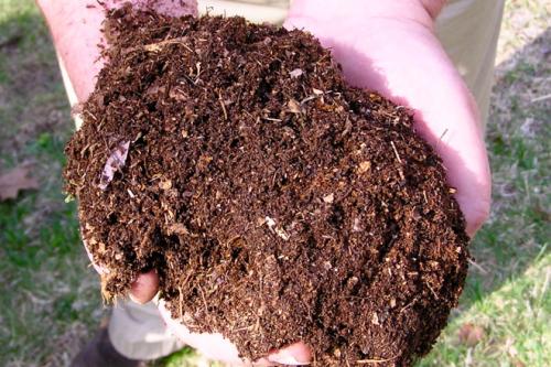 Клубника удобрение осенью. Чем подкормить клубнику осенью в авгусе-сентябре для следующего урожая