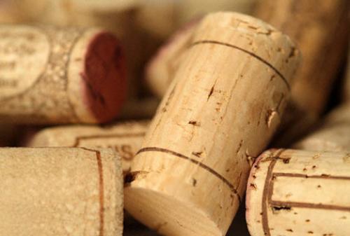 Как избавиться от крыс и мышей с помощью трав. Уничтожение грызунов в домашних условиях