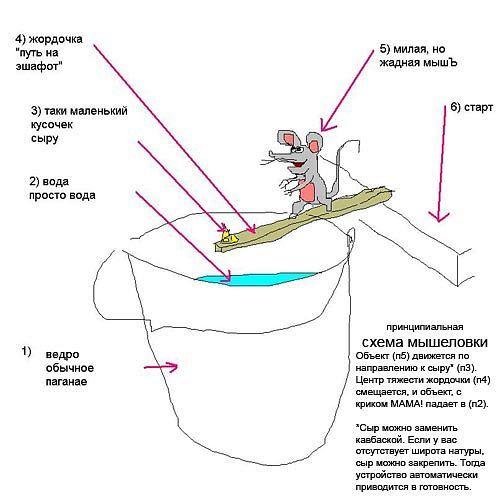 Как избавиться от мышей, если они поселились в гараже или сарае. Как избавиться от мышей в гараже быстро и навсегда