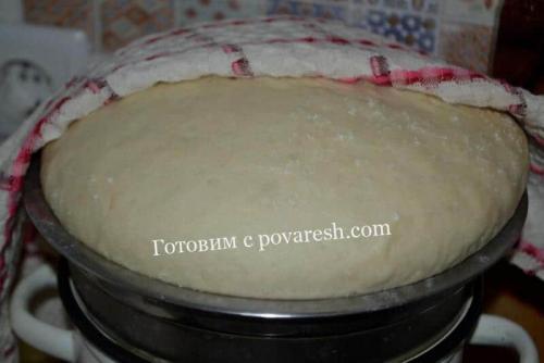 Дрожжевое тесто на молоке для пирога в духовке. Дрожжевое тесто на молоке - уютная выпечка на все случаи 08 Дрожжевое тесто на молоке для пирога в духовке. Дрожжевое тесто на молоке - уютная выпечка на все случаи 08