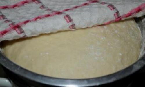 Дрожжевое тесто на молоке для пирога в духовке. Дрожжевое тесто на молоке - уютная выпечка на все случаи 14 Дрожжевое тесто на молоке для пирога в духовке. Дрожжевое тесто на молоке - уютная выпечка на все случаи 14