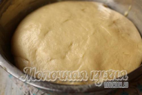Сдобное дрожжевое тесто на молоке на живых дрожжах.