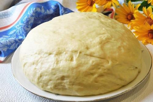 Тесто для пирогов в домашних условиях 107 рецептов. 20 рецептов теста для пирогов, которые оценит любая хозяйка