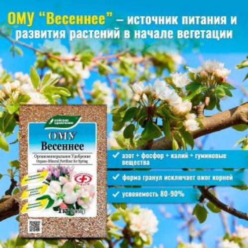 Как правильно проводить подкормку растений в апреле. Какие удобрения вносить в апреле-мае?