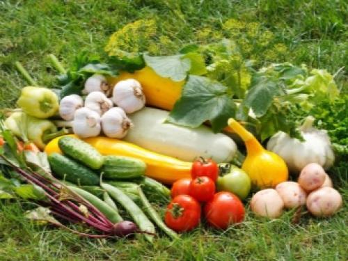 Первая подкормка в июне: сульфат калия (калий сернокислый) и как его применять 14