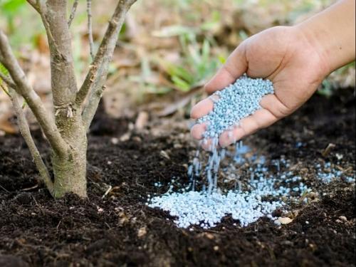 Калийные удобрения натуральные. Что дает калий растениям?