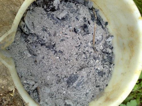 Зола в огороде польза и вред. Что это такое?