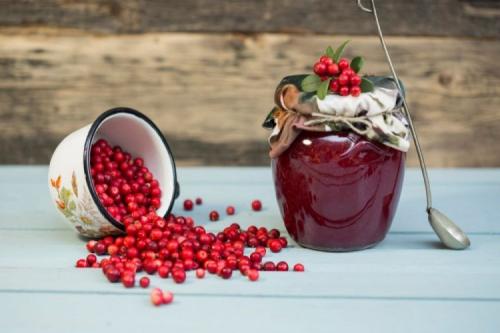 Рецепты заготовок на зиму из брусники. Брусника на зиму: 20 лучших рецептов заготовок