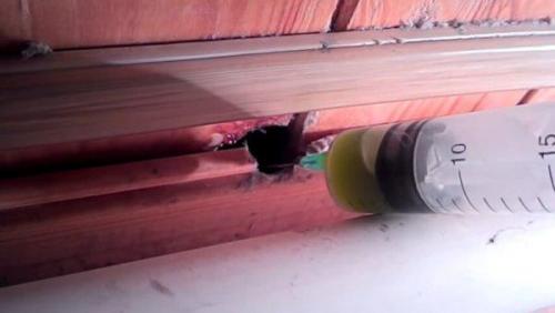 Самый приятный и простой способ избавиться от мышей. Самый простой и самый приятный способ uзбавленuя от мышей