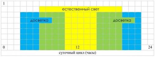 Как обеспечить достаточное освещение растений в теплице. Когда и сколько времени нужно освещать растения