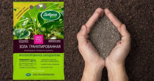 Как обеспечить правильную подкормку плодовых деревьев и кустарников после посадки осенью. Какими удобрениями подкармливать плодовые деревья осенью