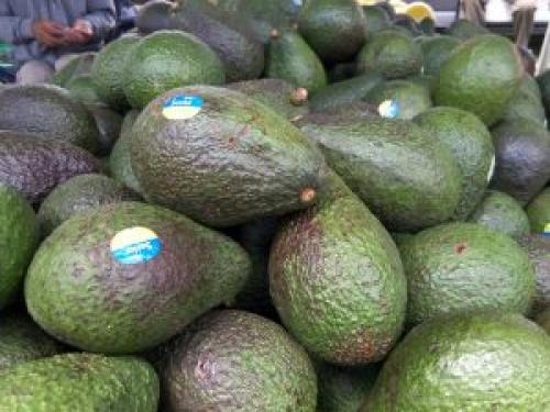 Какие сорта яблок наиболее популярны в Новой Зеландии. Сезонность фруктов и овощей в Новой Зеландии