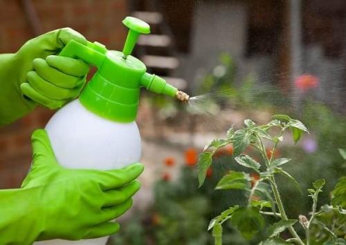 Адская смесь против болезней и вредителей в саду и огороде рецепт.