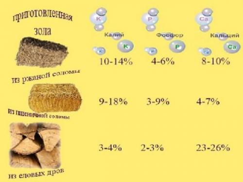 Зола в саду и огороде применение. Применение древесной золы на огороде