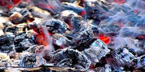 Зола в саду и огороде применение. Применение древесной золы на огороде