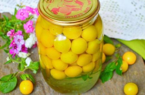 Алыча на зиму заготовки рецепты лучшие. Что приготовить из алычи на зиму
