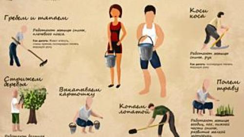 Какие растения нельзя удобрять золой и почему. Какие растения нельзя подкармливать золой 22 Какие растения нельзя удобрять золой и почему. Какие растения нельзя подкармливать золой 22