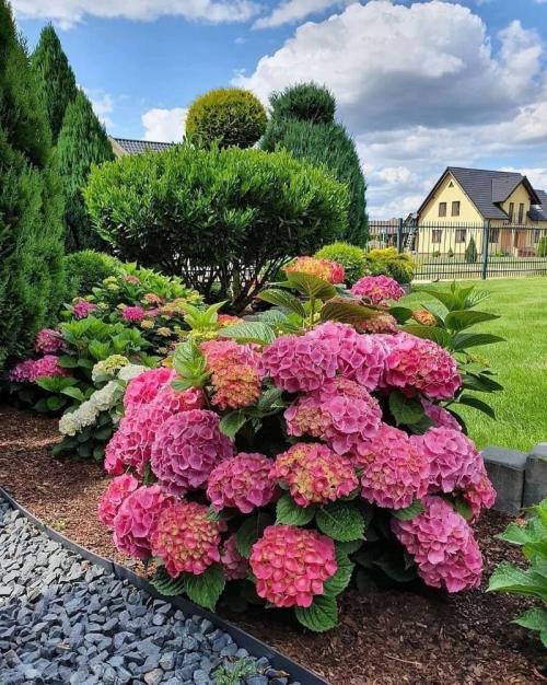 Какие растения нельзя удобрять золой и почему. Какие растения нельзя подкармливать золой 04 Какие растения нельзя удобрять золой и почему. Какие растения нельзя подкармливать золой 04