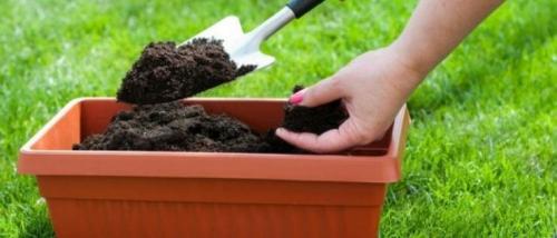 Как сено и солома влияют на почву