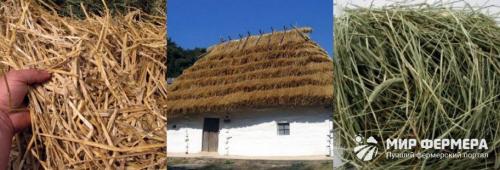 Какие растения используются для производства сена и соломы